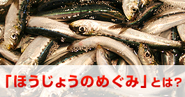 ほうじょうのめぐみとは?